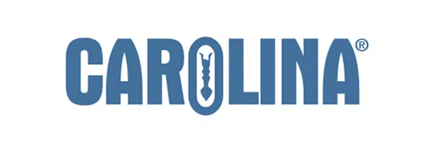 Carolina