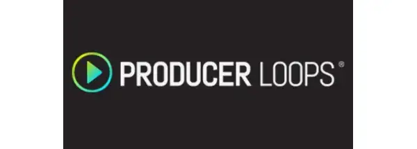 PRODUCER LOOPS